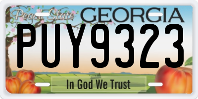 GA license plate PUY9323