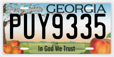 GA license plate PUY9335