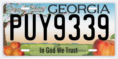 GA license plate PUY9339