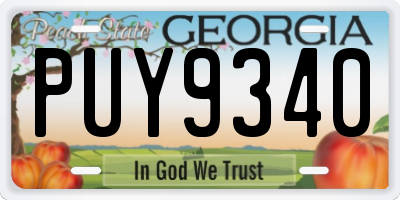 GA license plate PUY9340