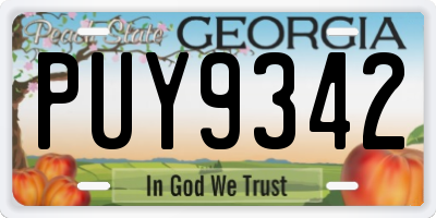 GA license plate PUY9342