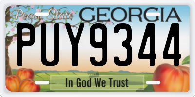 GA license plate PUY9344