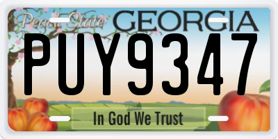 GA license plate PUY9347