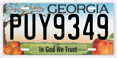 GA license plate PUY9349