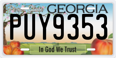 GA license plate PUY9353