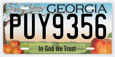 GA license plate PUY9356