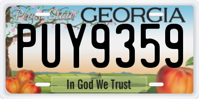 GA license plate PUY9359
