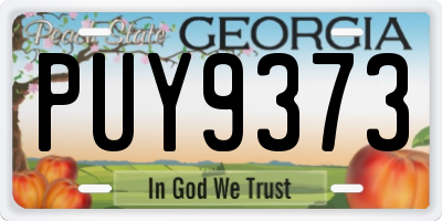 GA license plate PUY9373