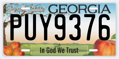 GA license plate PUY9376