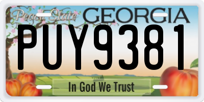 GA license plate PUY9381