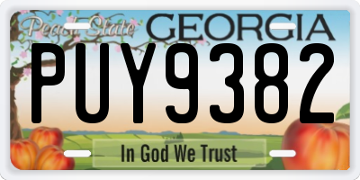 GA license plate PUY9382