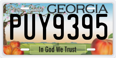 GA license plate PUY9395