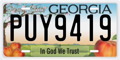 GA license plate PUY9419