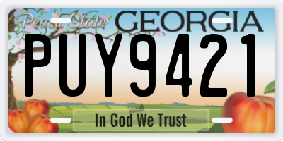 GA license plate PUY9421
