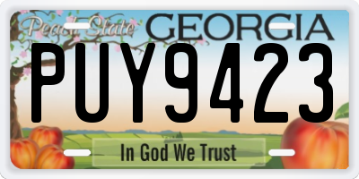 GA license plate PUY9423