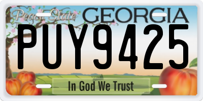 GA license plate PUY9425