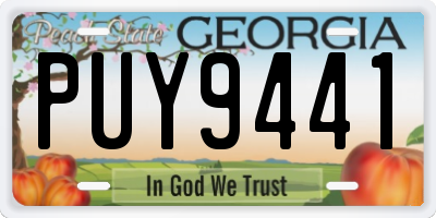 GA license plate PUY9441