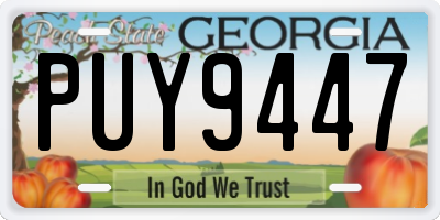 GA license plate PUY9447