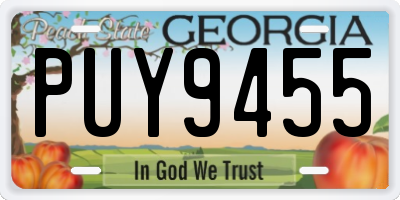 GA license plate PUY9455