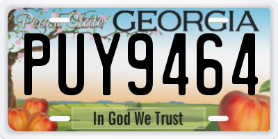 GA license plate PUY9464