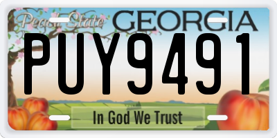 GA license plate PUY9491