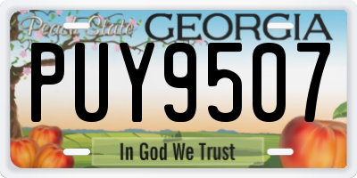 GA license plate PUY9507