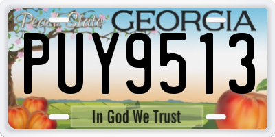 GA license plate PUY9513