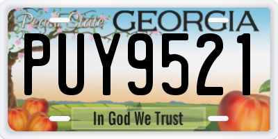GA license plate PUY9521