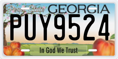 GA license plate PUY9524