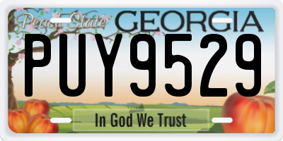 GA license plate PUY9529