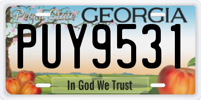 GA license plate PUY9531