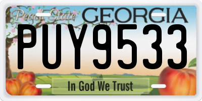 GA license plate PUY9533