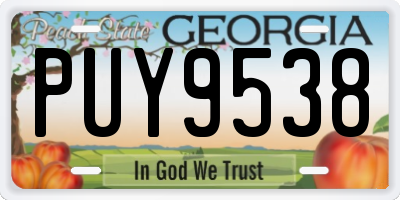 GA license plate PUY9538