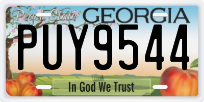 GA license plate PUY9544