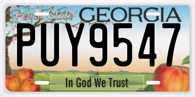 GA license plate PUY9547