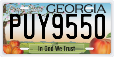GA license plate PUY9550