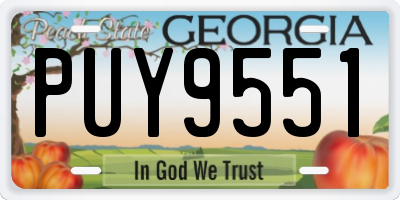 GA license plate PUY9551