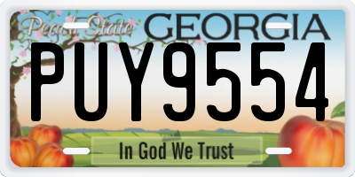 GA license plate PUY9554