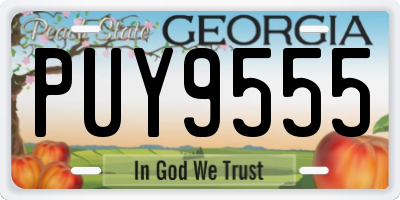 GA license plate PUY9555