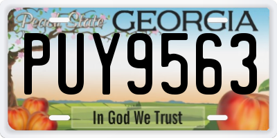 GA license plate PUY9563