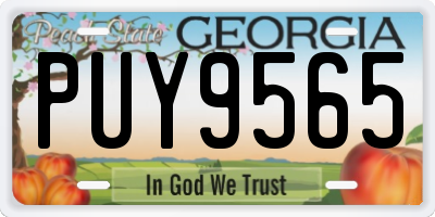 GA license plate PUY9565