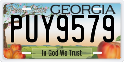 GA license plate PUY9579