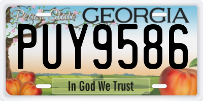 GA license plate PUY9586