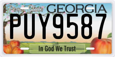 GA license plate PUY9587