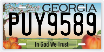 GA license plate PUY9589