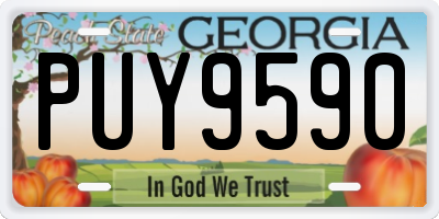 GA license plate PUY9590