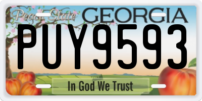 GA license plate PUY9593