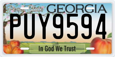GA license plate PUY9594