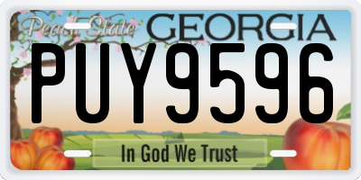 GA license plate PUY9596