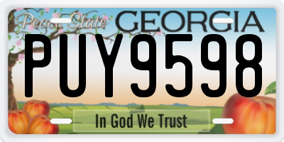 GA license plate PUY9598